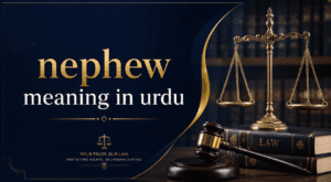 nephew meaning in urdu