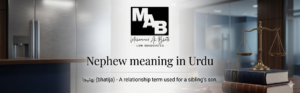 nephew meaning in urdu